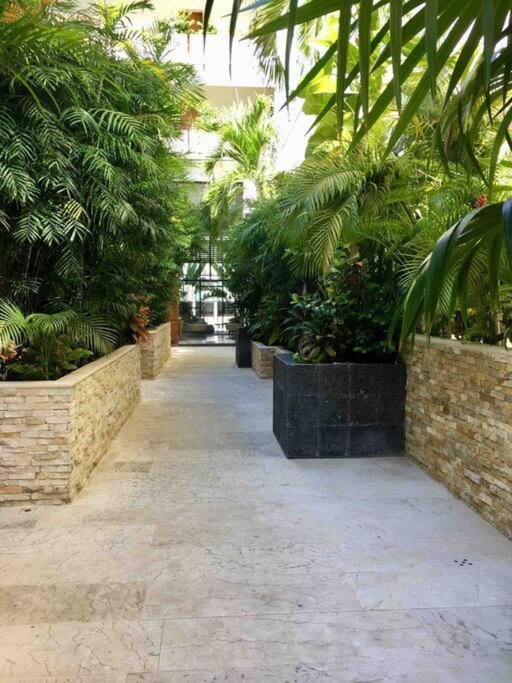 Your Exclusive Studio In The City - Top Amenities & Services For Free!! Playa del Carmen Ngoại thất bức ảnh