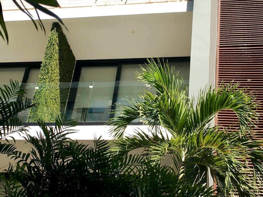 Your Exclusive Studio In The City - Top Amenities & Services For Free!! Playa del Carmen Ngoại thất bức ảnh