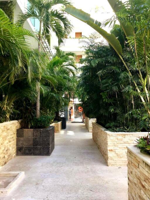 Your Exclusive Studio In The City - Top Amenities & Services For Free!! Playa del Carmen Ngoại thất bức ảnh