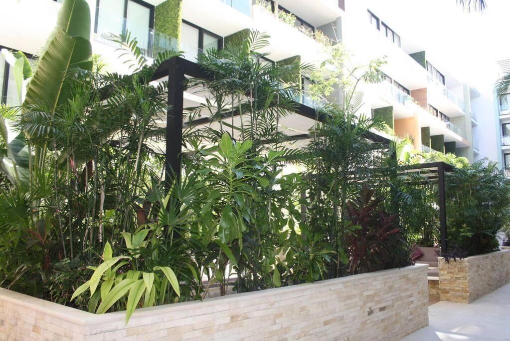 Your Exclusive Studio In The City - Top Amenities & Services For Free!! Playa del Carmen Ngoại thất bức ảnh